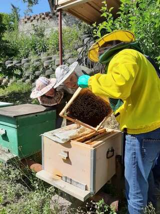 Шале ARMBEE Honey Farm Алаверди Улучшенное шале-41